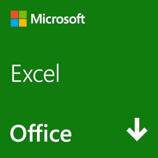 Microsoft Excel 2024(最新 永続版)|オンラインコード版|Windows11、10|Mac対応|PC2台
