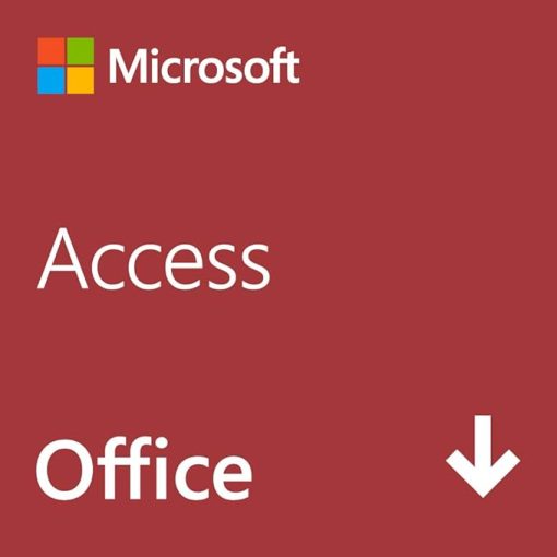 Microsoft Access 2019/2021/2024オンラインコード版|Windows11、10|PC1台